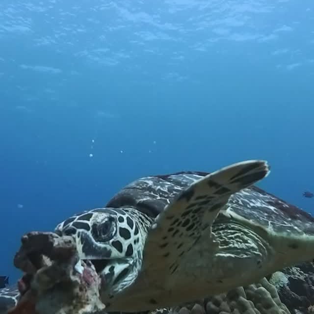 Post by critter.hunter