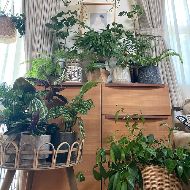 Post by time_with_liberty