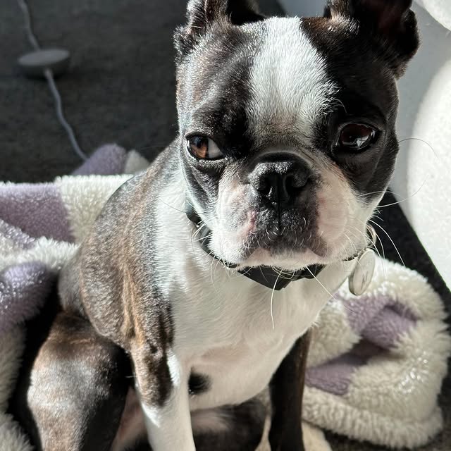 Post by thechunky_and_themonkey