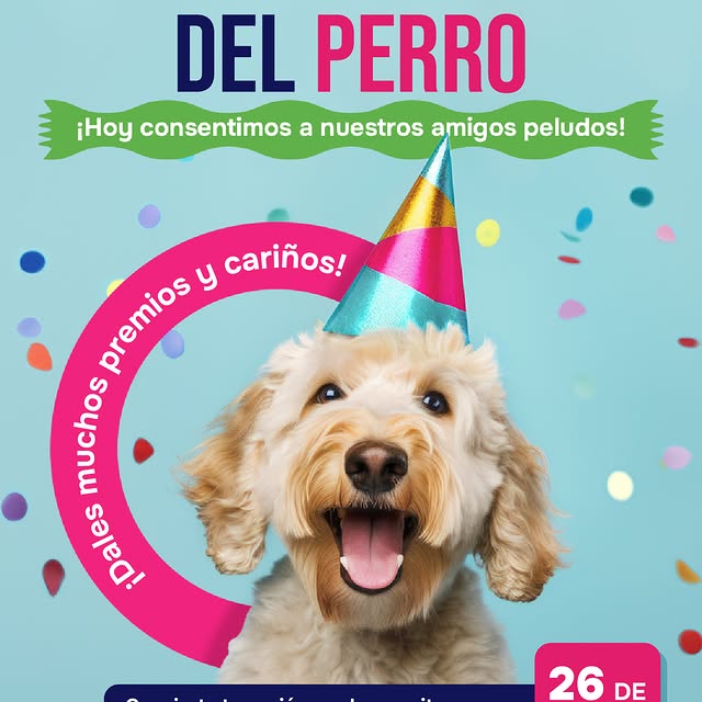 Post by aprendeinstitute