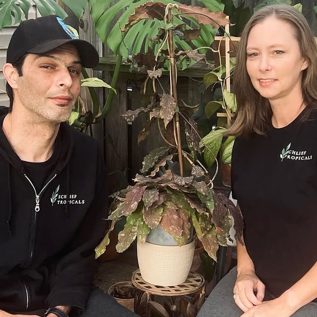 Post by lets.talkhoya