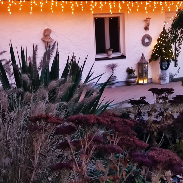 Post by gartenheidisuess