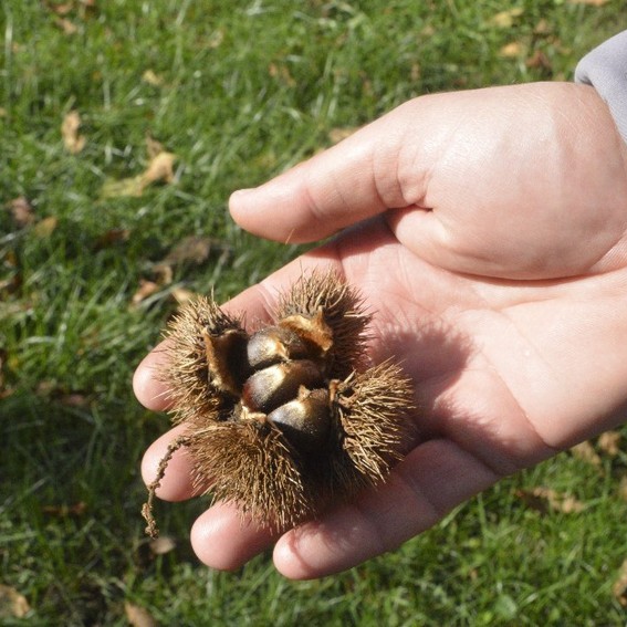 Post by mtcubacenter