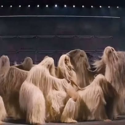 Post by parrisgoebel