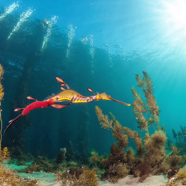 Post by sammyglenn_dives