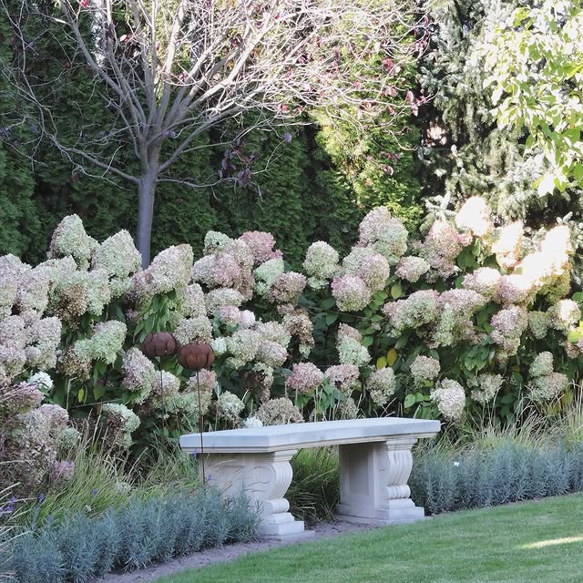 Post by garden_by_marta