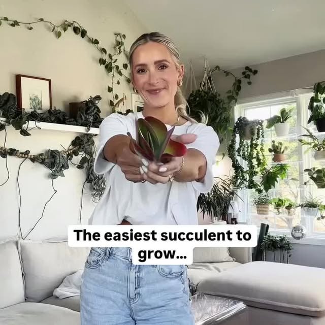 Post by peoplewithplants_official