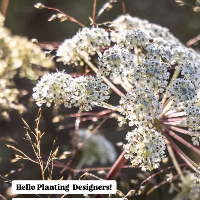 Post by harrisbuggstudio