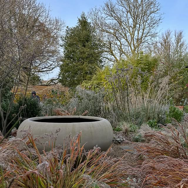 Post by acreswildgardendesign