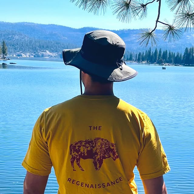 Post by theregenaissance