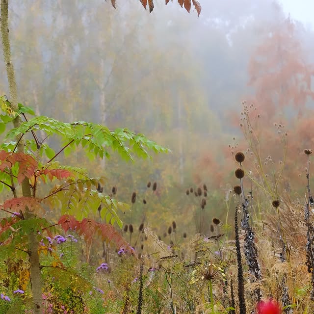 Post by arcadia_landscape_design