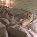 𝐥𝐚𝐰 𝐬𝐭𝐮𝐝𝐞𝐧𝐭 𝐥𝐢𝐟𝐞's profile picture