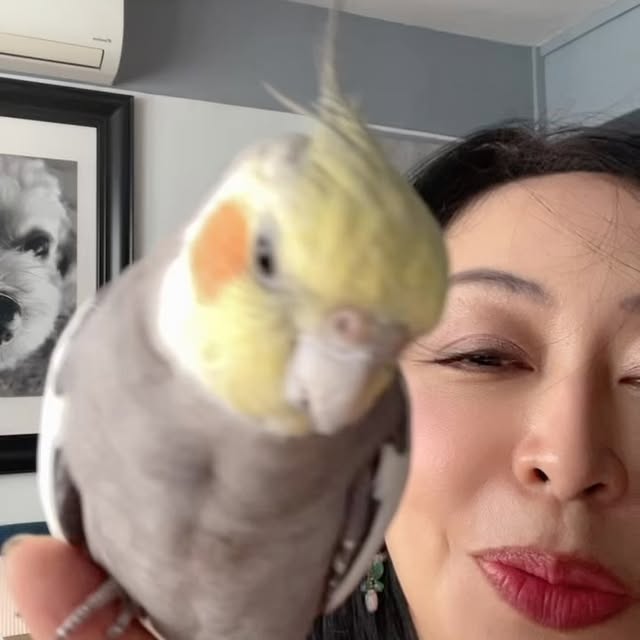 Post by busy_with_jesus_