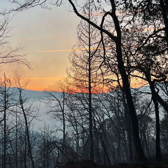 Post by redding_hotshots