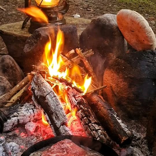 Post by 5000dennis_nature