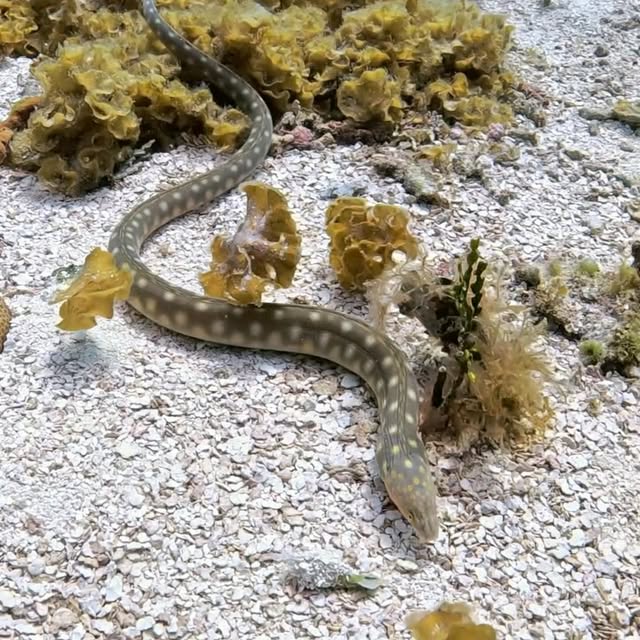 Post by brett_hoelzer