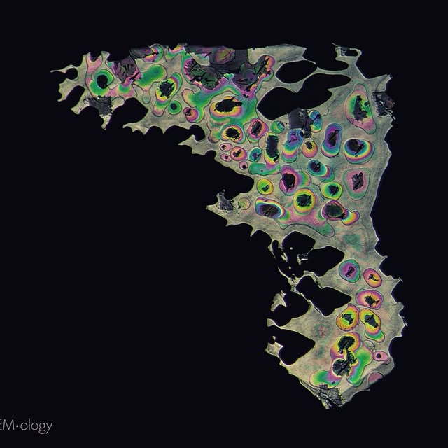 Post by lotusgemology