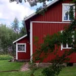 Kirsti Lehmuskoski🌻🐞🌿's profile picture