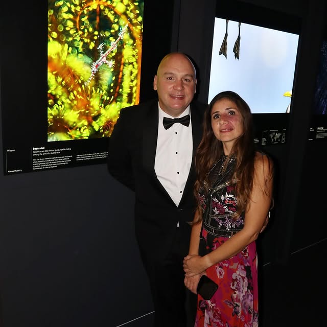 Post by alexmustard1