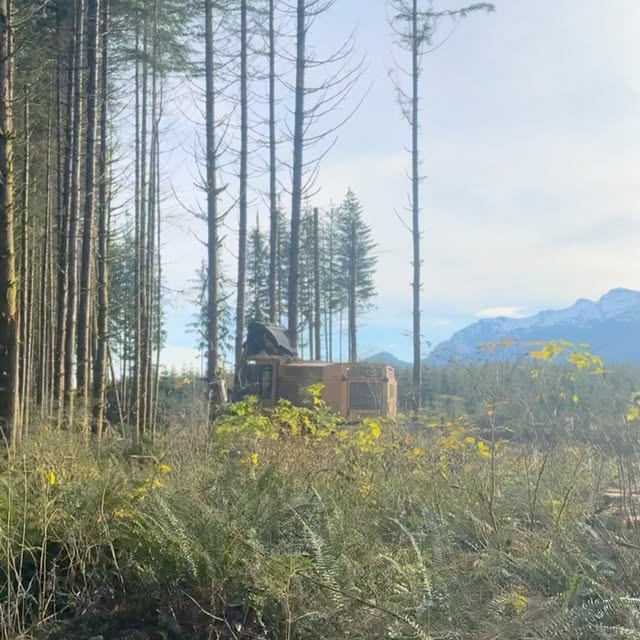 Post by thulinetimberco