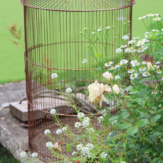 Post by fishtailcottage