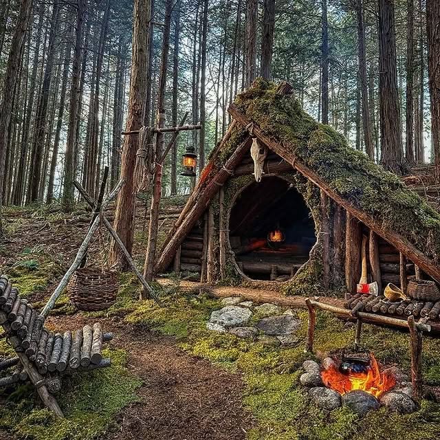 Post by survivalunit