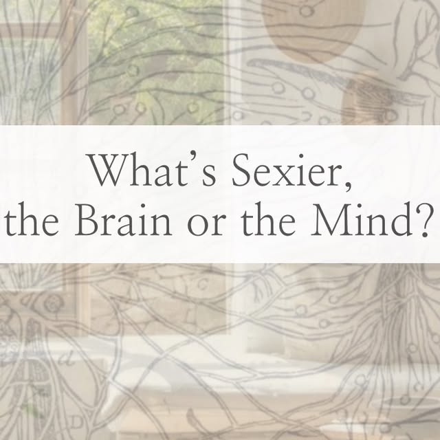 Post by schoolofholisticdesign