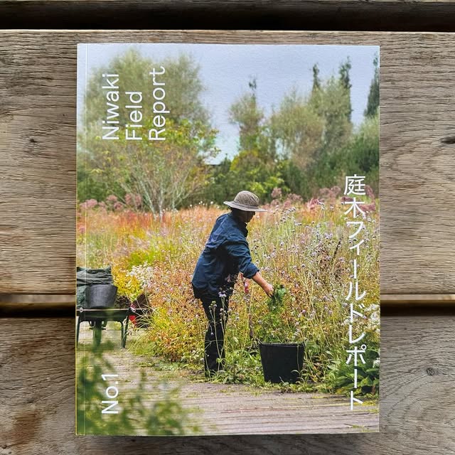 Post by danpearsonstudio