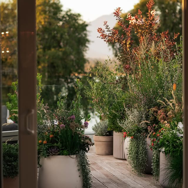 Post by botanica_design