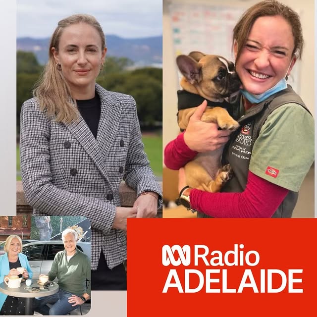 Post by sophies.legacy