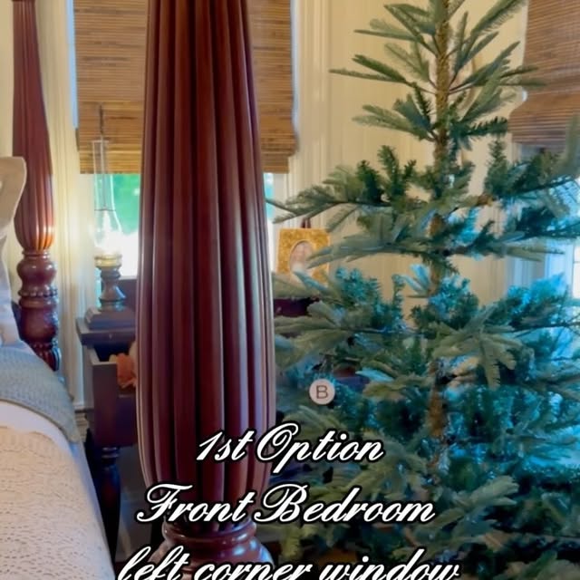 Post by thecharminghare