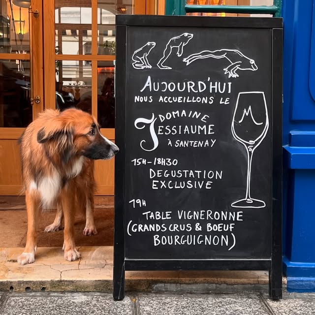 Post by restaurantmaceo