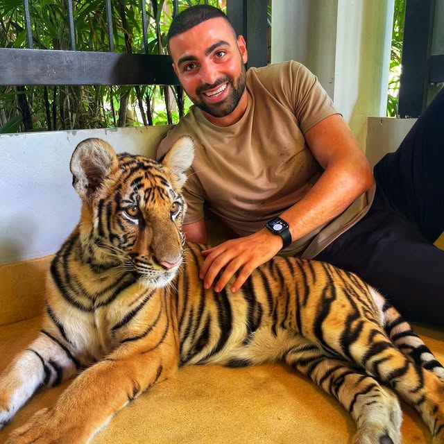 Post by officialhassanfarhat