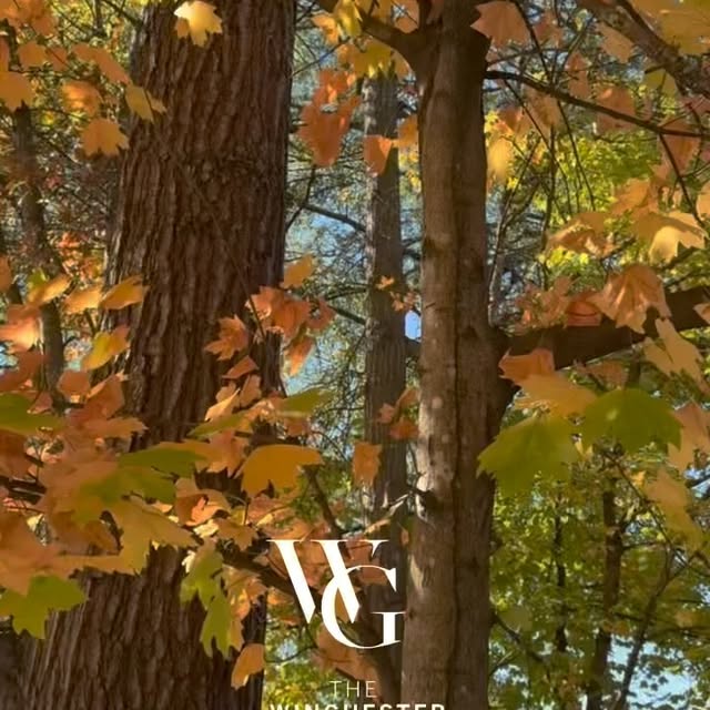 Post by kellykeeter_realtor