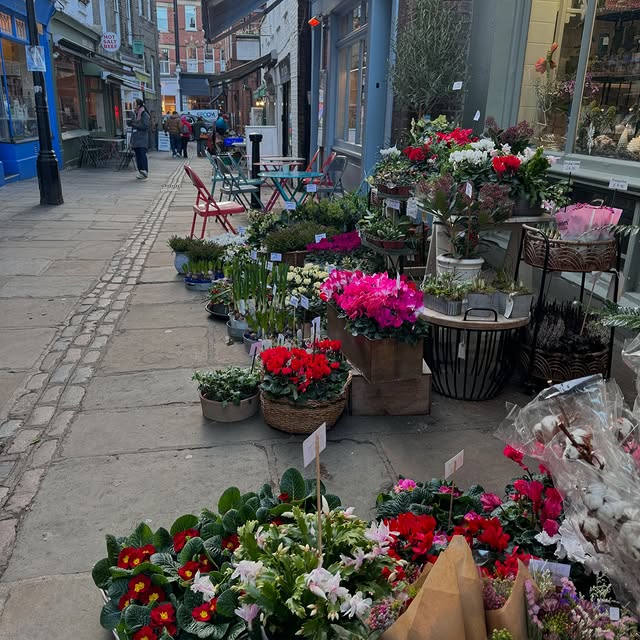 Post by suekentathome