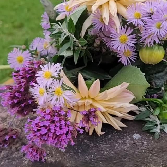 Post by gartenaugenblicke