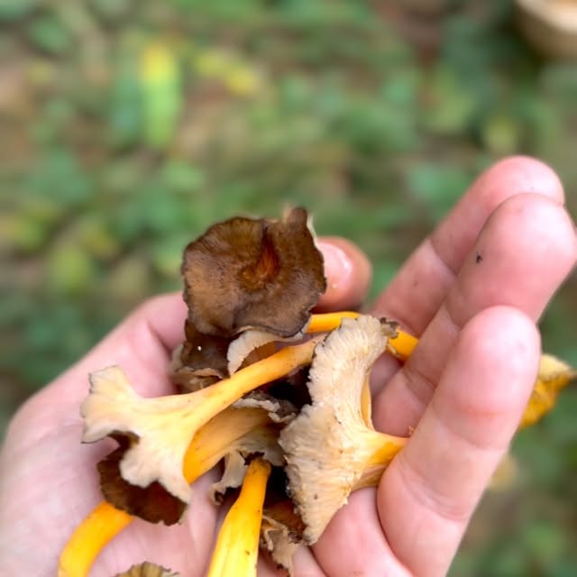 Post by dogadaki_sakal