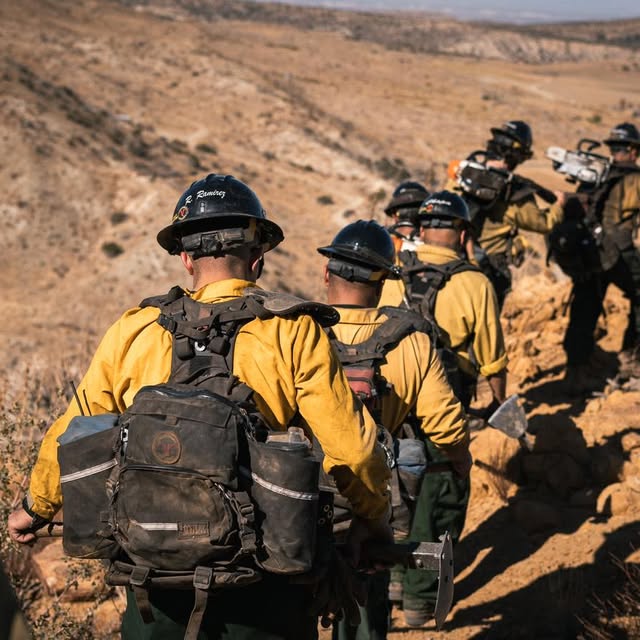 Post by firesciencenutrition