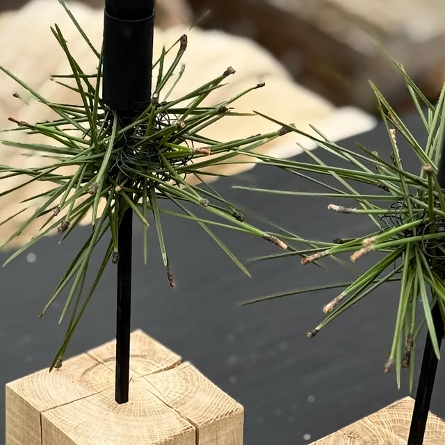 Post by byannetteholm