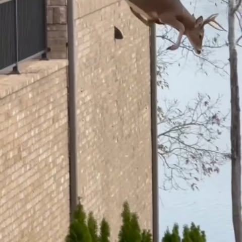 Post by natureismetal