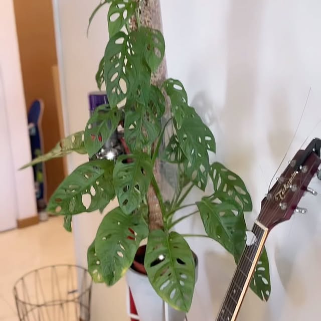 Post by huntingmamasg