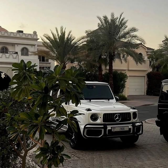 Post by monetairsclub