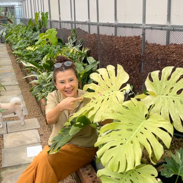 Post by mama.treehouse