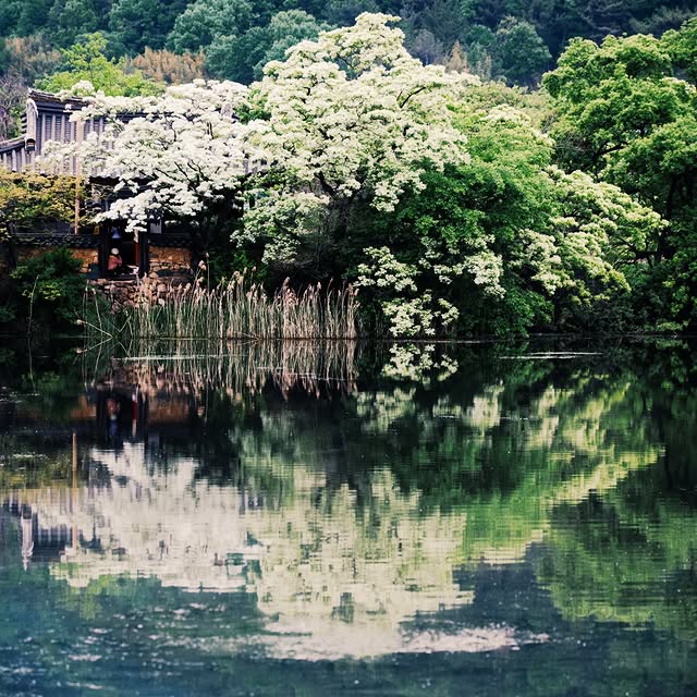 Post by summersnow_traveler