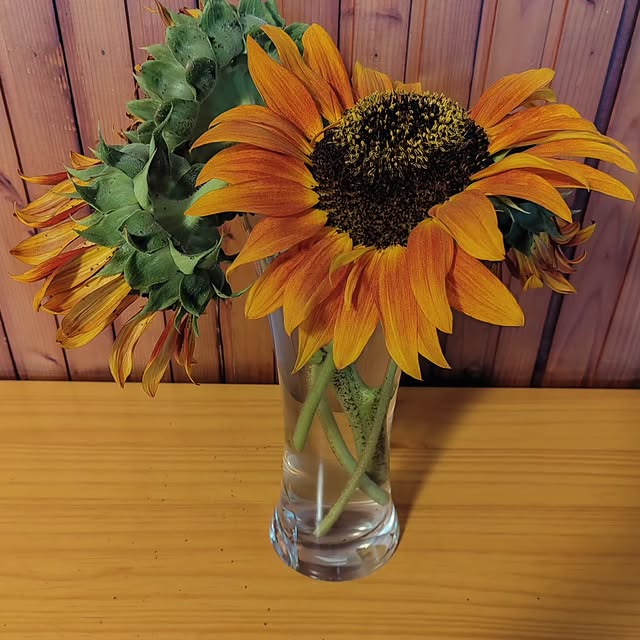 Post by antonella_agratti_woolf