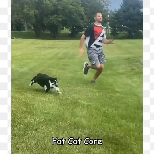 Post by meowcatsscorner