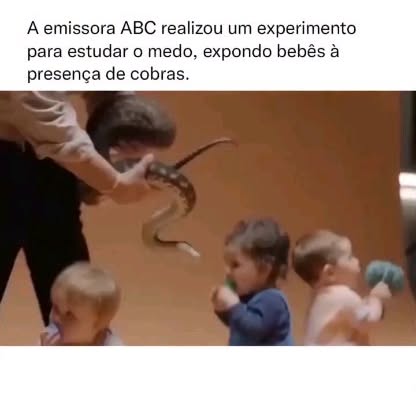 Post by vireiadultoo