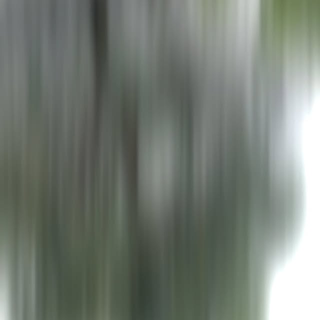 Post by tukangtamanmedann