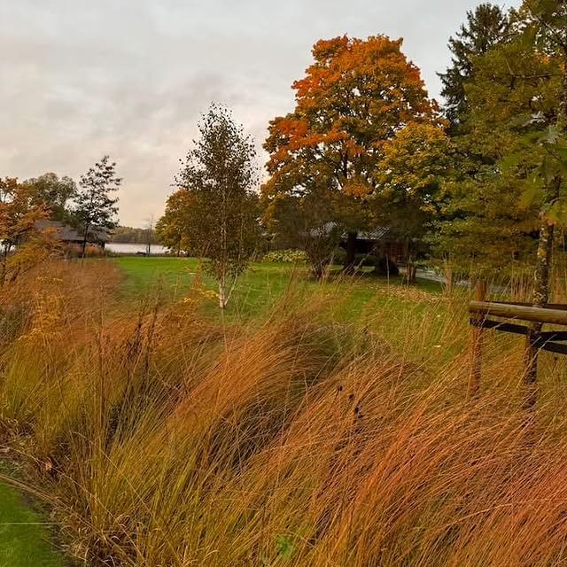 Post by rasalaurinaviciene