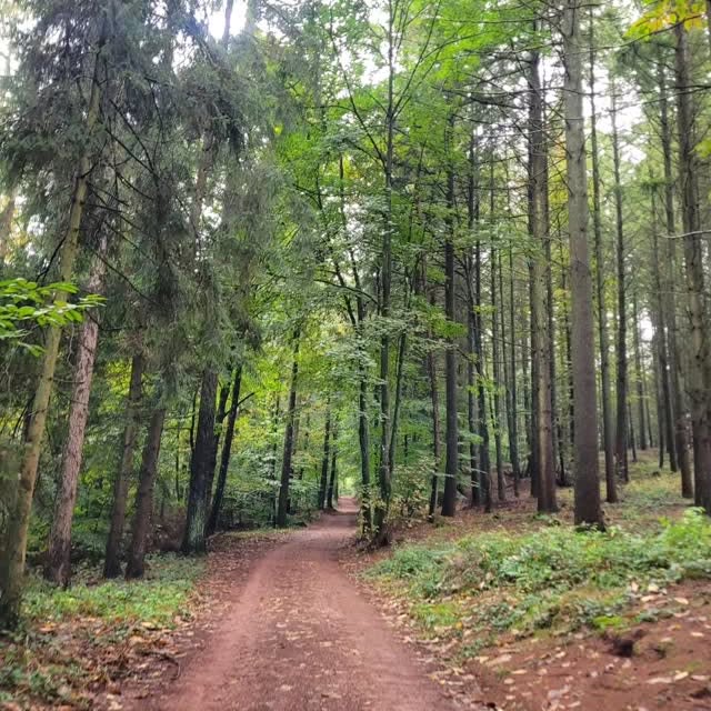 Post by gartenaugenblicke